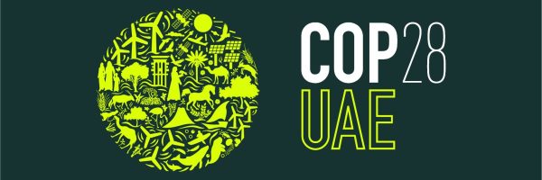 COP 28: Article