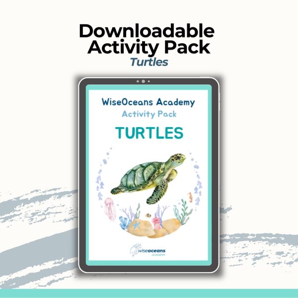 Downloadable Educational Ocean Activity Pack - Turtles Themed