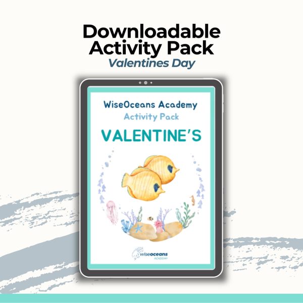 Downloadable Educational Ocean Activity Pack - Valentines Day Themed