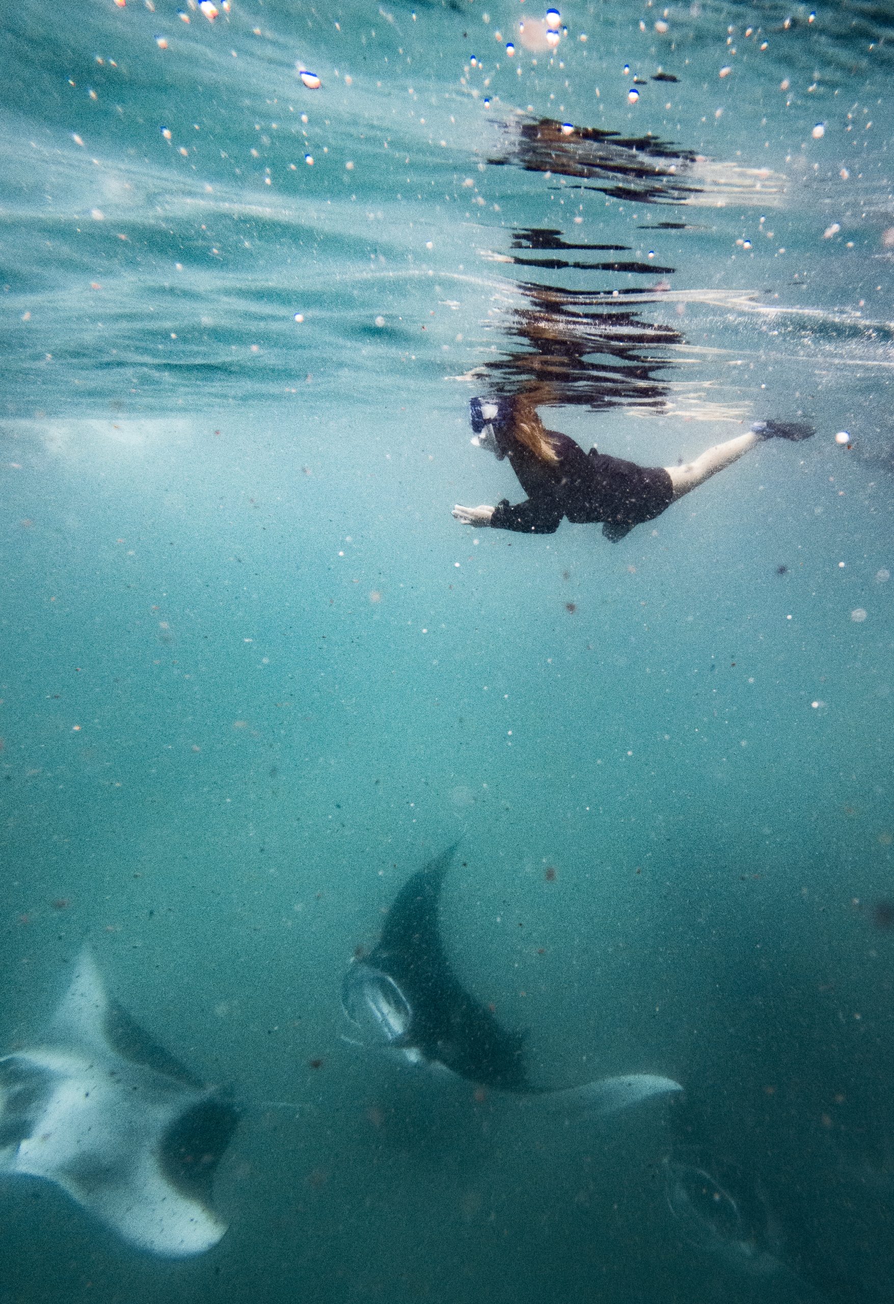Caitlin Rentell snorkelling with manta rays