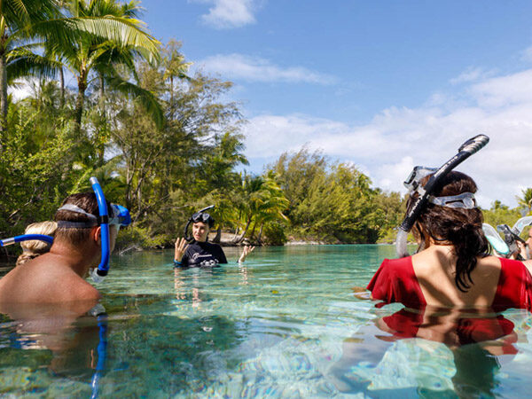 WiseOceans Marine Conservation and Education - Sustainable Snorkelling