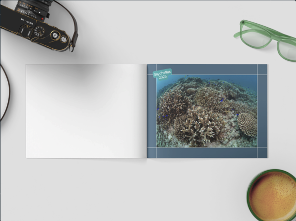 Guided Snorkel Photobook - Seychelles - Image 2