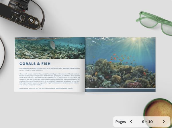 Guided Snorkel Photobook - Seychelles - Image 8