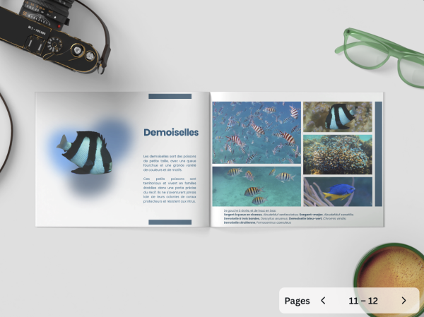 Guided Snorkel Photobook - Seychelles - Image 6