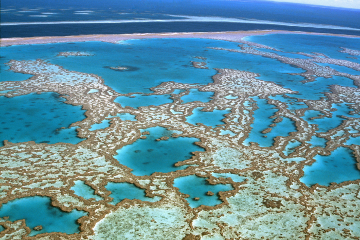 Coral reef from the air 