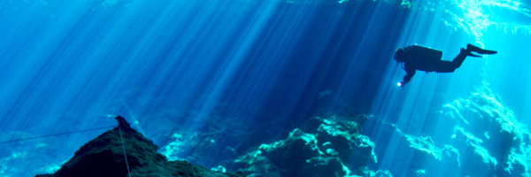 Deep Sea Diver