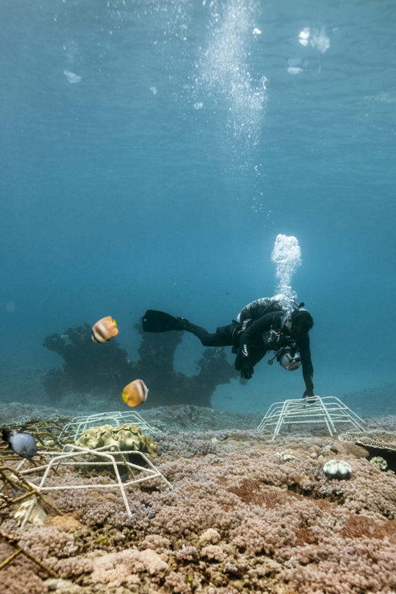 Leon Boey SCUBA diving