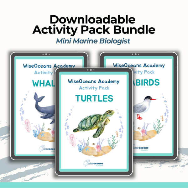 activity pack