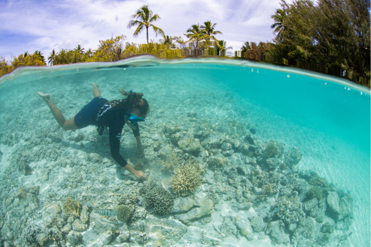 Marine Biologist underwater with coral