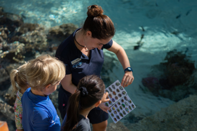Marine Educator with children and ocean ID sheet on edge of a lagoon